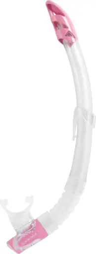 [eg261040] Cressi gamma rose